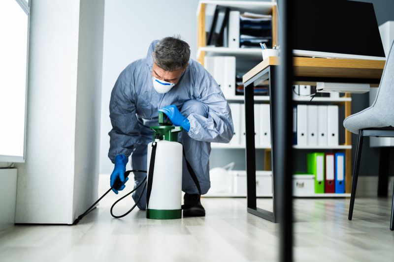 Signs You Need Professional General Pest Control Services