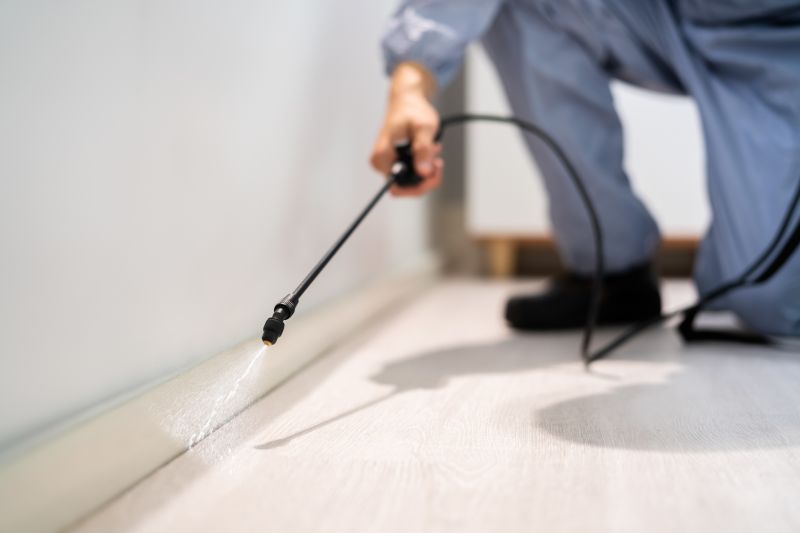 Pest Inspection in Prosper